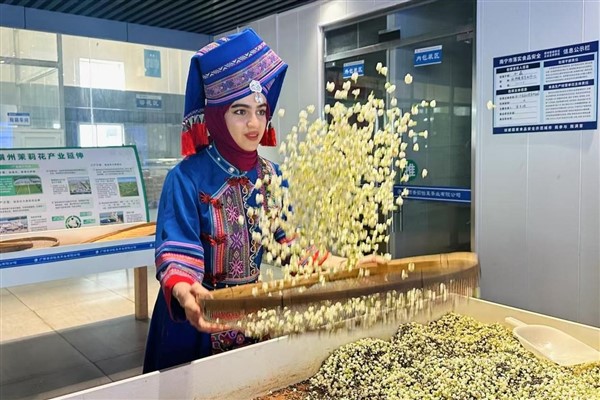 Hengzhou Yasemin Çiçeği Endüstri Parkı: Bir çiçek yeni bir sanayi ivmesi kazandı