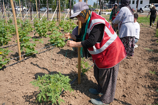 Düzce’de Ata Tohumu üretimi 6 dönüme çıkarıldı