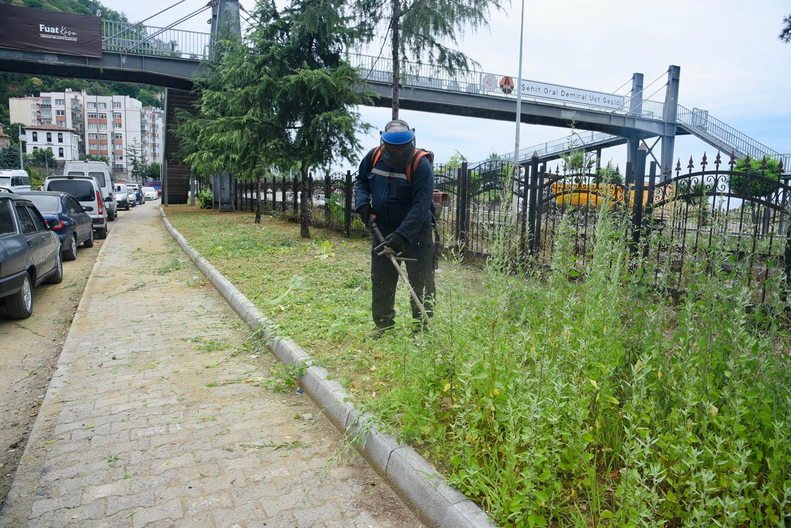 Giresun Belediyesi'nden çevre düzenleme çalışması