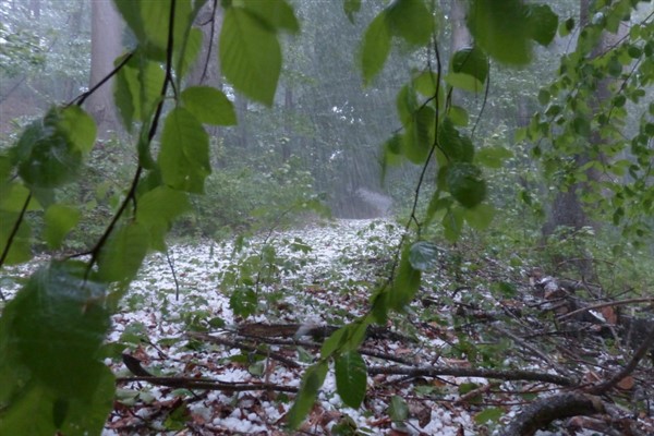 Meteoroloji'den Tekirdağ için kuvvetli sağanak uyarısı