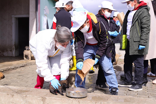 Van’da atıklar mamaya dönüşüyor