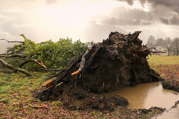Ankara için kuvvetli rüzgar ve fırtına uyarısı