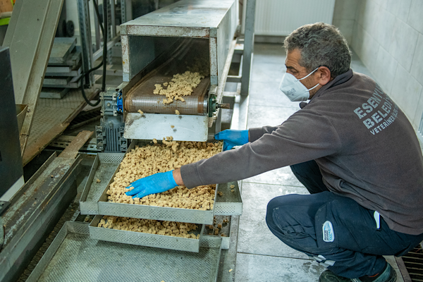 Esenyurt'ta hayvanlar için gıda desteği