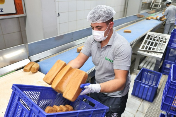 Bursa’da siyez buğdayı üreticisine ve tüketiciye destek