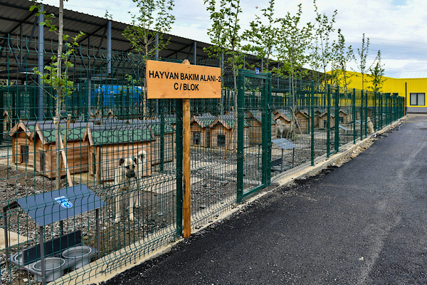 Ankara'da sokak hayvanlarına 8 milyon üzerinde veterinerlik hizmeti sağladı