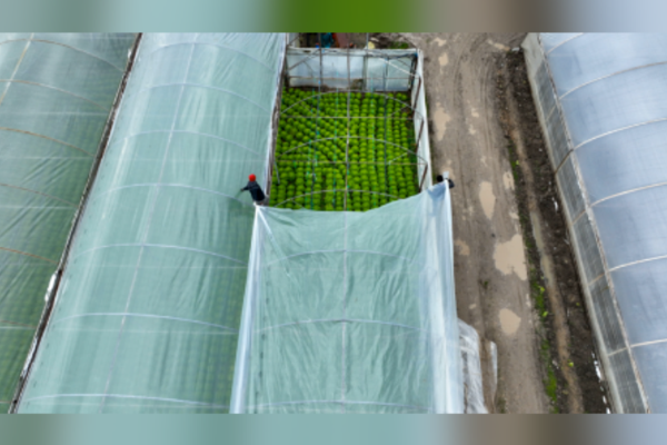 Büyükşehir'den çiftçilere yönelik destek