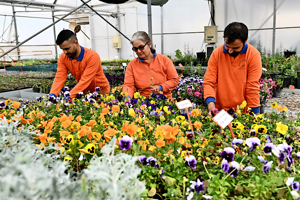 Muratpaşa'da bitki üretim tesisi ile sürdürülebilir üretim yapılıyor