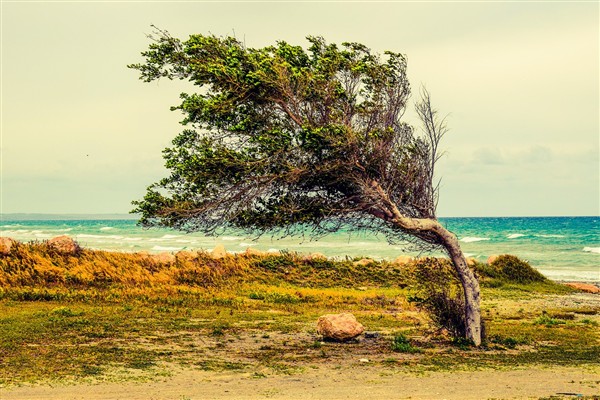 Edirne için kuvvetli rüzgar ve fırtına uyarısı 