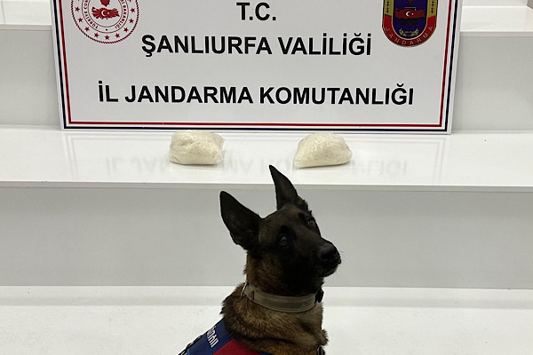 Şanlıurfa’da uyuşturucu operasyonu