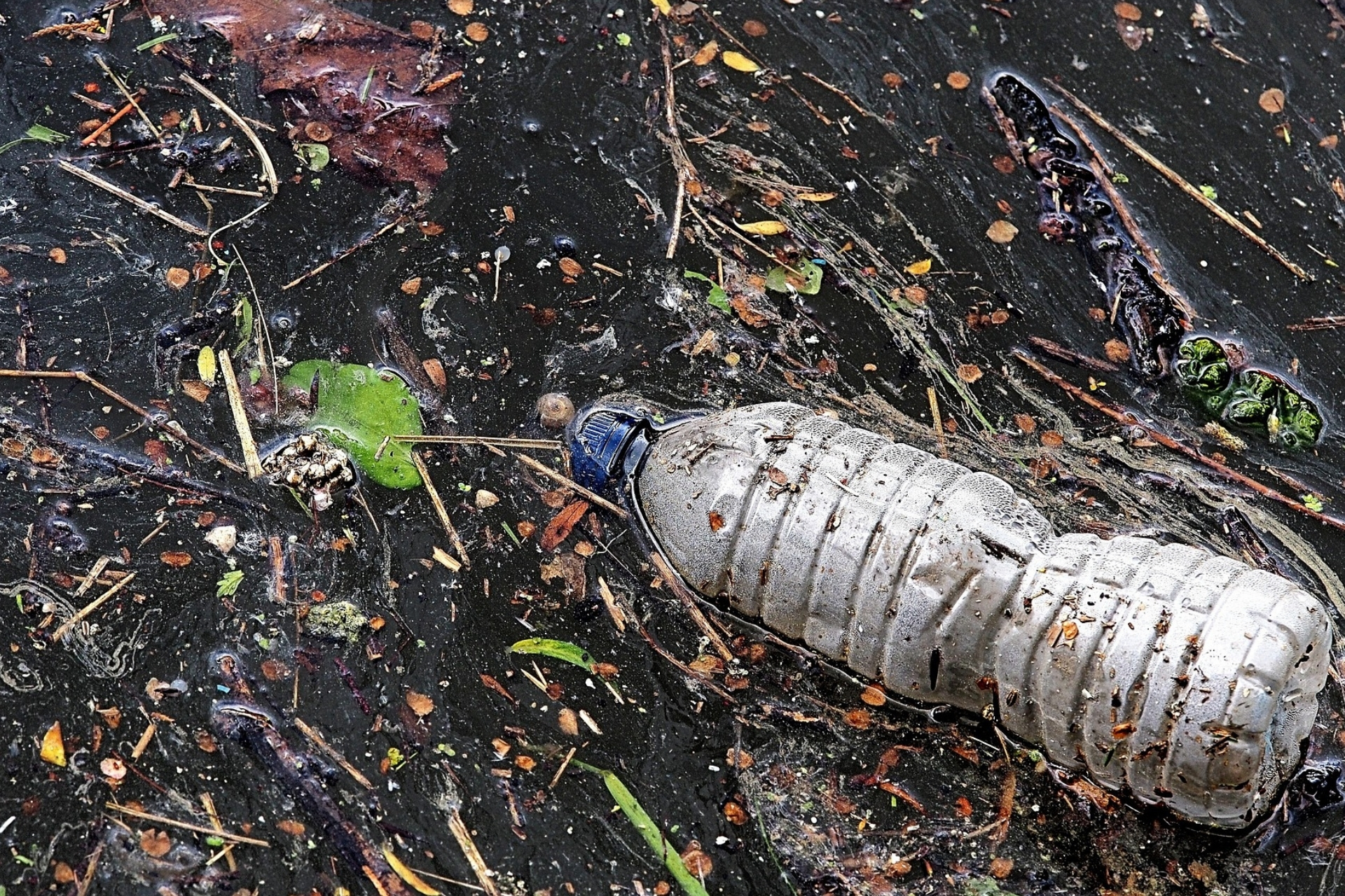 Sıfır Atık Mavi Projesi ile denizlerden 23 bin kamyon çöp temizlendi