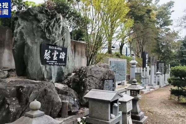CGTN anketi: Yasukuni Tapınağı, savaş suçlularının anıldığı bir yerdir