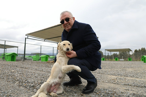 Ertaş: Sokak hayvanlarının yaşam hakkını korumak en temel sorumluluklarımızdan biri 