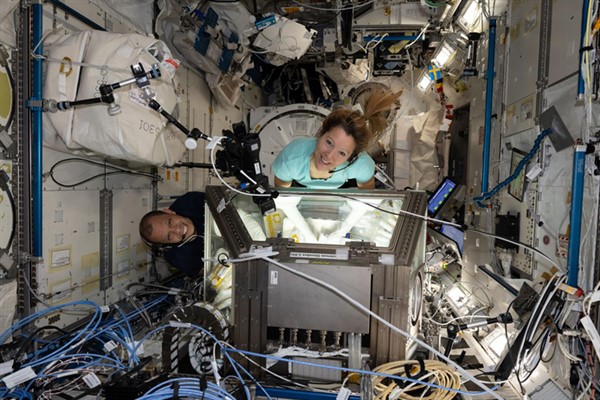 NASA: Williams'ın uzay görevi kanser tedavisi araştırmalarına katkı sağladı