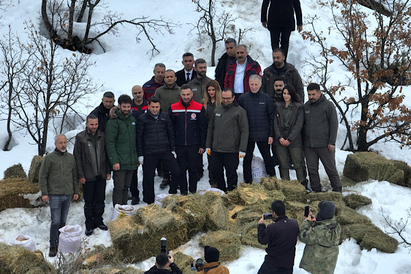 Tunceli’de yaban hayvanları için yemleme çalışması gerçekleştirildi