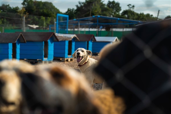 Costa Coffee’den patili dostlara destek