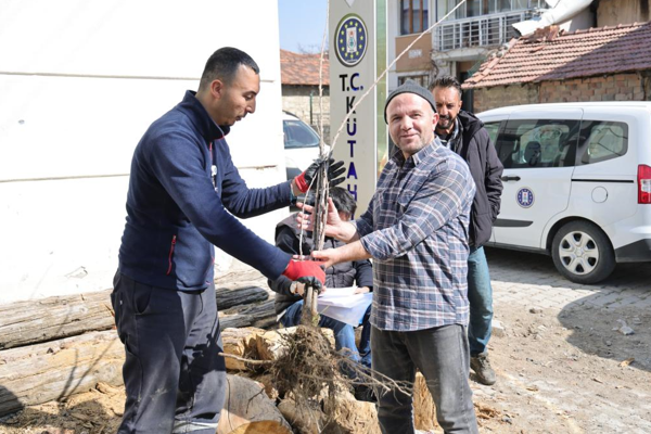 Kütahya'da kiraz fidanı dağıtım programı gerçekleştirildi