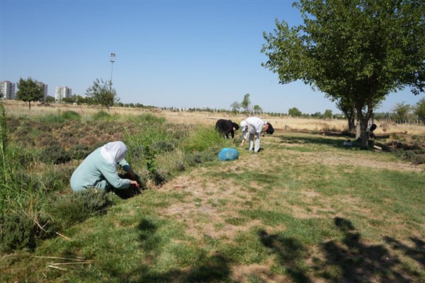 Kayapınar'da kadınlar emeğiyle festival hazırlığında