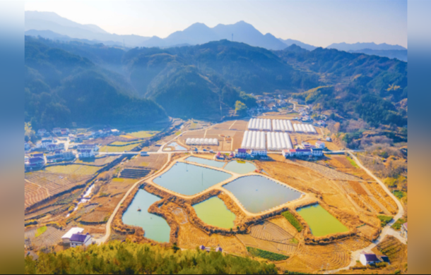 CMG, 2025 yılının kırsal kalkınmaya ilişkin en önemli 10 haberini seçti