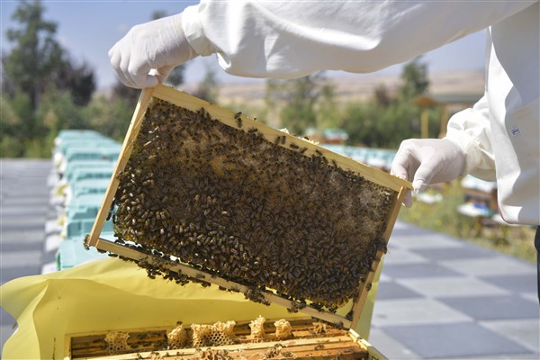 Ankara’da Arıcılık Araştırma, Üretim ve Eğitim Merkezi kuruldu
