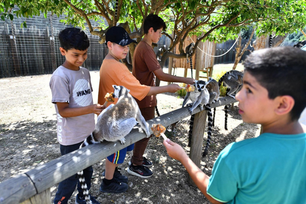 İzmir’de öğrencilere ücretsiz park